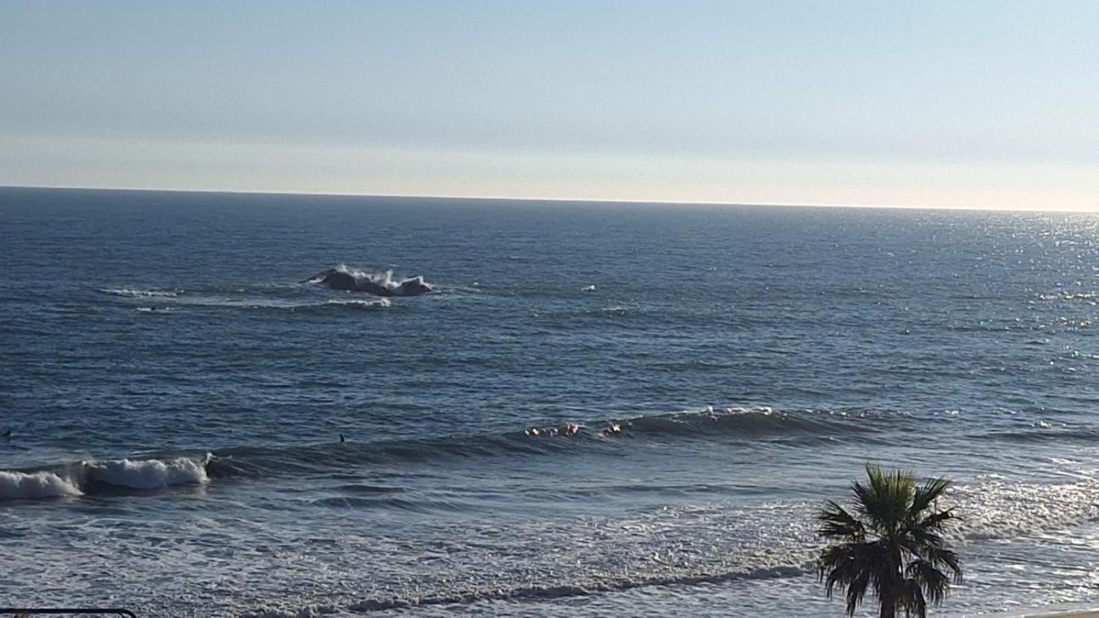 Depto Renaca Sector 5 A Pasos De La Playa Apartamento Vina del Mar